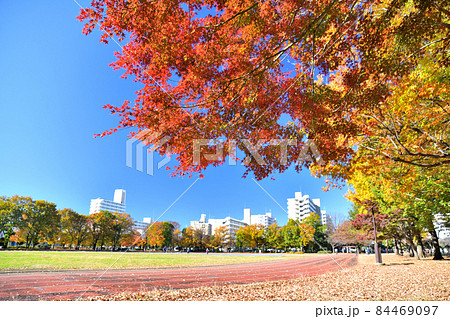 都立 東大和南公園/運動広場(東京都東大和市)【2021.11】 都立 東大和南公園/運動広場(東京都東大和市)【2021.11】 84469097