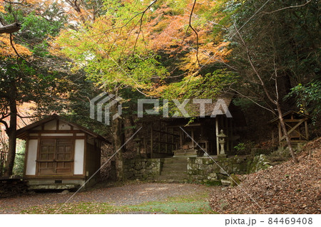 勝手神社の紅葉 84469408