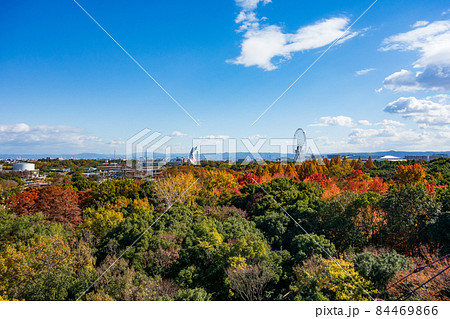 秋の大阪万博公園を展望台から望む 秋の大阪万博公園を展望台から望む 84469866