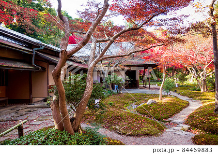 秋の大阪万博公園内のお茶室の紅葉 84469883