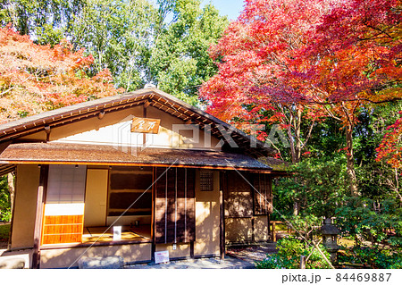 秋の大阪万博公園内のお茶室の紅葉 84469887