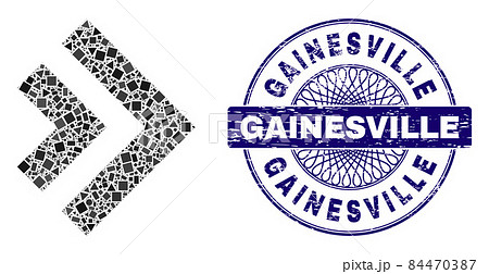 Distress Gainesville Badge and Geometric Shift Right Mosaic 84470387