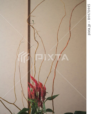 生け花 作品 生け花 作品 84470445