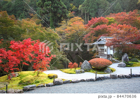 古知谷阿弥陀寺の紅葉 古知谷阿弥陀寺の紅葉 84470636