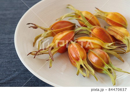 クチナシの実 84470637