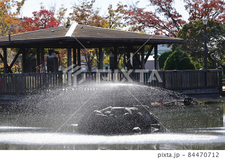 東京都荒川区荒川自然公園白鳥の池の噴水 84470712