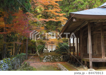 来迎院の紅葉 84470913