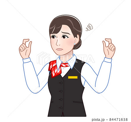 キャビンアテンダントの女性 84471638