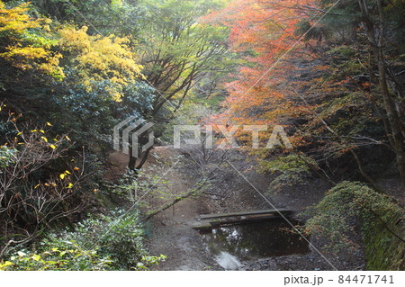 音無しの滝の途中の紅葉 84471741