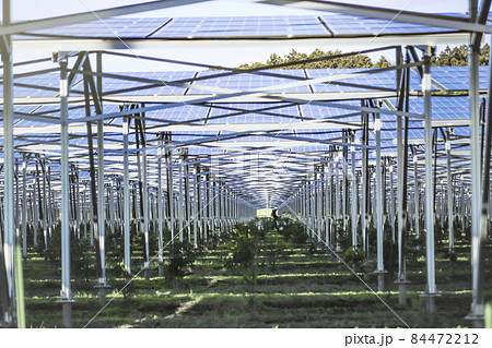 ソーラーシェアリング、太陽光発電と農業、 ソーラーシェアリング、太陽光発電と農業、 84472212