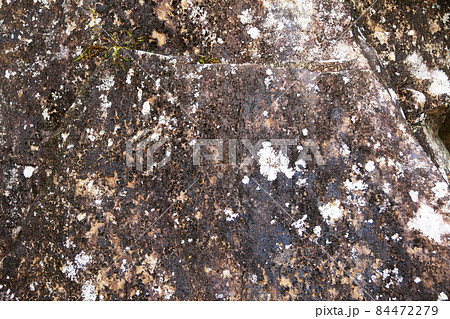 苔むした岩肌 苔むした岩肌 84472279