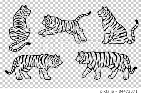 虎の動きのシルエットもしくは線画のイラスト素材 セットのイラスト素材