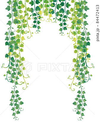 水彩風 緑色&黄緑 蔦の葉フレーム背景 縦 水彩風 緑色&黄緑 蔦の葉フレーム背景 縦 84472413