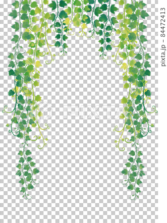 水彩風 緑色&黄緑 蔦の葉フレーム背景 縦 水彩風 緑色&黄緑 蔦の葉フレーム背景 縦 84472413