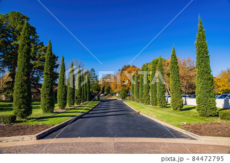 Beautiful fall color in the famous Philbrook Museum of Art 84472795