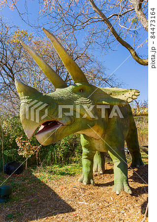 Close up shot of Protoceratops Dinosaur model 84473164