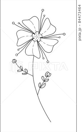 Minimalistic flower graphic sketch drawing floral botanic elements vector illustration Minimalistic flower graphic sketch drawing floral botanic elements vector illustration 84473464