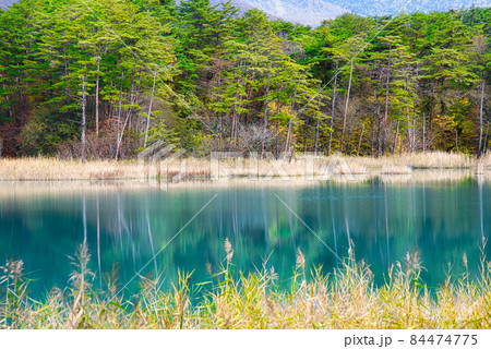 福島・裏磐梯 秋色に彩られた五色沼周辺のハイキングコースの美しい風景 福島・裏磐梯 秋色に彩られた五色沼周辺のハイキングコースの美しい風景 84474775