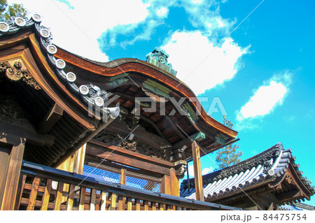 妙心寺 妙心寺 84475754