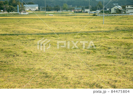 田んぼ東北の田舎の風景 84475804