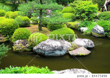 三室戸寺 三室戸寺 84475896