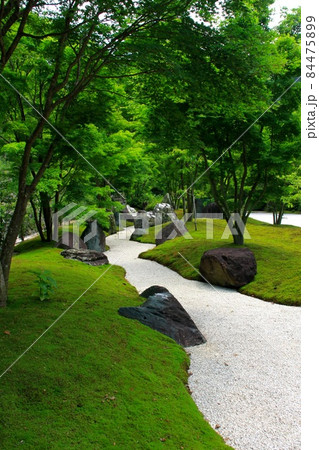 三室戸寺 84475899