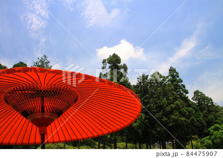 三室戸寺 三室戸寺 84475907