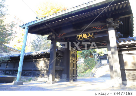 湯島聖堂　入徳門　東京都文京区 84477168