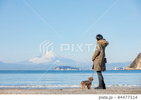 冬の江ノ島と富士山が見える海岸にたたずむMIX犬とその飼い主の女性 84477314