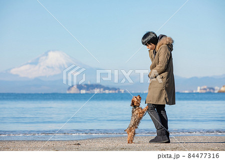 冬の江ノ島と富士山が見える海岸にたたずむMIX犬とその飼い主の女性 84477316