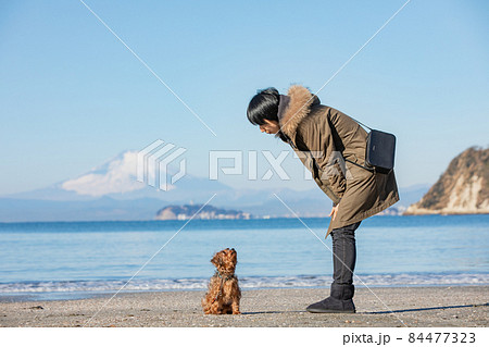 冬の江ノ島と富士山が見える海岸にたたずむMIX犬とその飼い主の女性 84477323