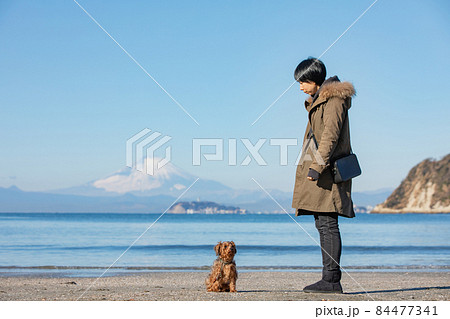 冬の江ノ島と富士山が見える海岸にたたずむMIX犬とその飼い主の女性 84477341