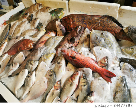 Fish market Fish market 84477397