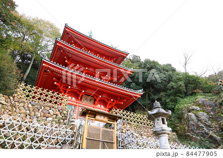 岐阜公園三重塔の秋風景 84477905