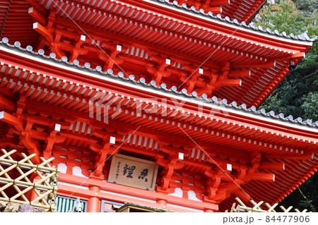 岐阜公園三重塔の秋風景 84477906