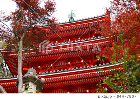 岐阜公園三重塔の秋風景 岐阜公園三重塔の秋風景 84477907