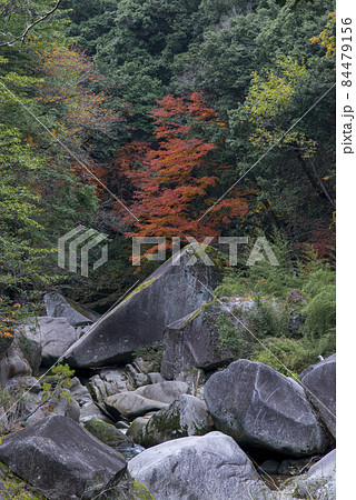 鬼の舌震（11月・紅葉シーズン） 84479156