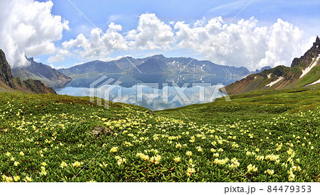 自然 風景 景色 84479353