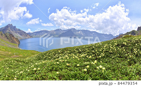 自然 風景 景色 84479354
