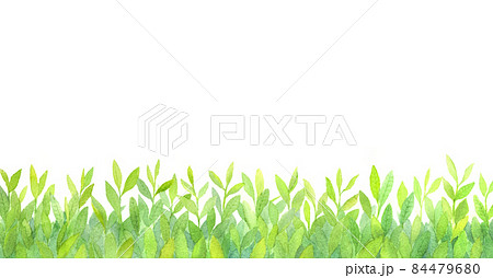 茶畑　水彩画　手描きアナログ 84479680