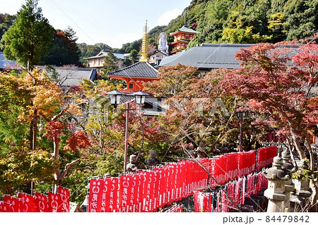 奈良県　信貴山朝護孫子寺境内紅葉と参道 84479842