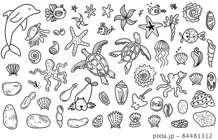 Various marine animals and fish. vector illustration in doodle style  84481312