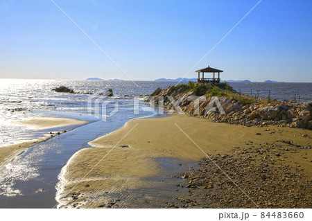 自然 風景 浜 84483660