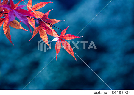 カジュアル 無造作 無頓着 84483985