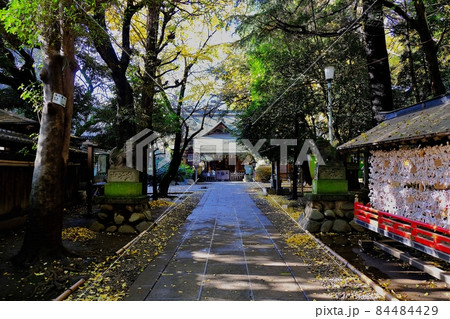 東京都板橋区　ときわ台天祖神社 84484429