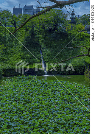 牛ヶ淵（東京都千代田区にある北の丸公園東側の清水門外にあるお堀） 84485029