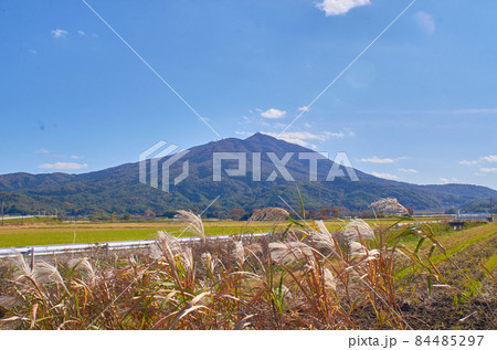 筑波山 すすき 筑波山 すすき 84485297