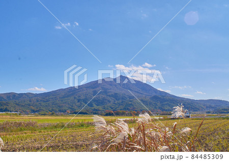 筑波山　すすき 84485309