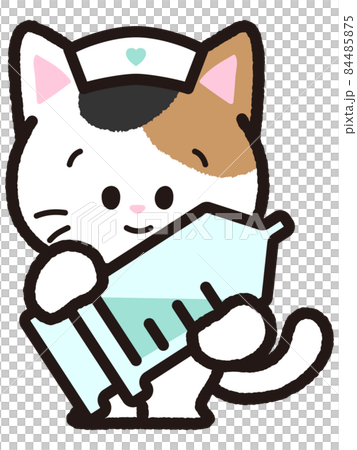 Calico cat with injection 84485875