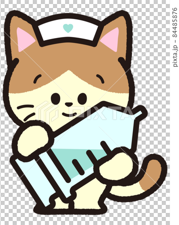 Brown bee cat with injection Brown bee cat with injection 84485876